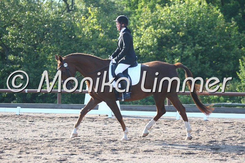 009M0831_Midnight_Dressur A.JPG